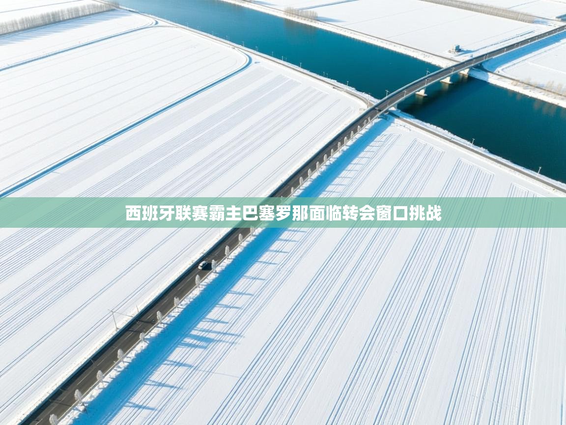 西班牙联赛霸主巴塞罗那面临转会窗口挑战 第1张