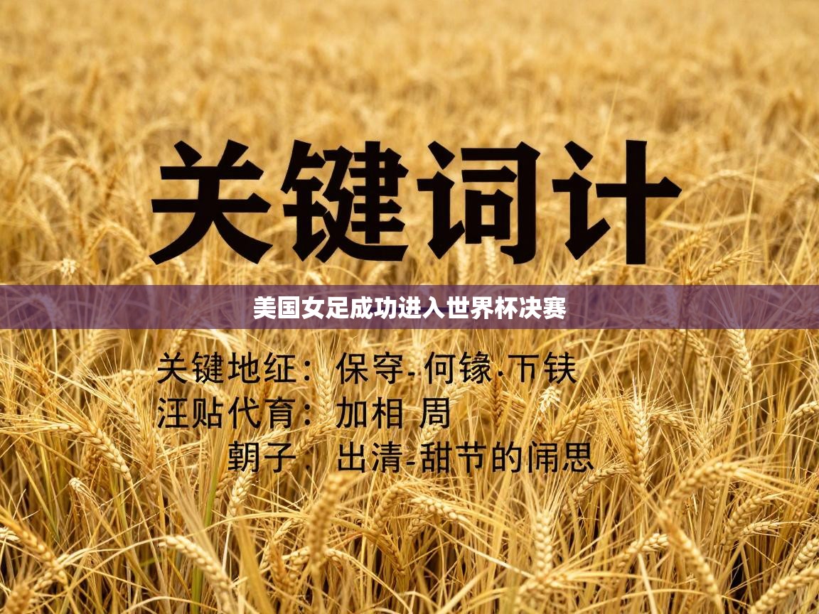 美国女足成功进入世界杯决赛  第1张